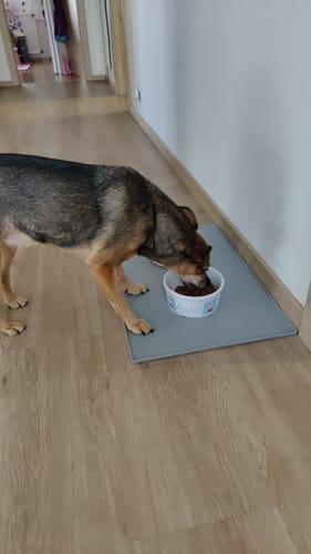 Customer photo review of Frischfutter für Energiebedarf von 526 kCal/Tag