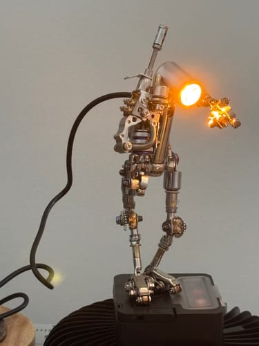 Customer photo review of Terminator M