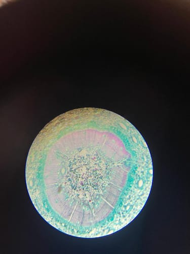 Customer photo review of Microscope 3D Wooden Puzzle