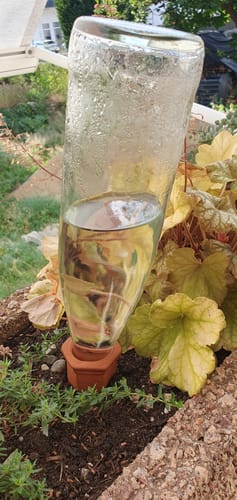 Rauseo review of Topfpflanzenbewässerung „Hydro Wine“ 12 Stk. Tonkegel für Wein- & PET-Flaschen image 1 out of 1