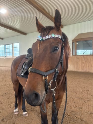 Customer photo review of Frosty Jade