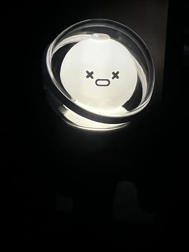 Customer photo review of N.FLYING - OFFICIAL LIGHT STICK VER.2