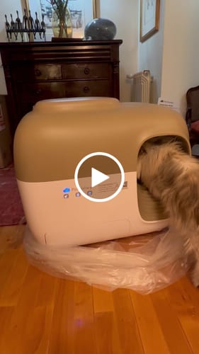 Customer video review of Self-Cleaning Litter Box