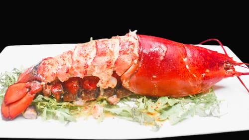 Customer photo review of Live American Lobster - New England