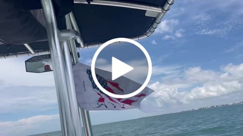 Customer video review of America the Beautiful Flag