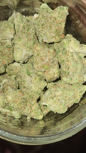 Customer photo review of Blue Skunk