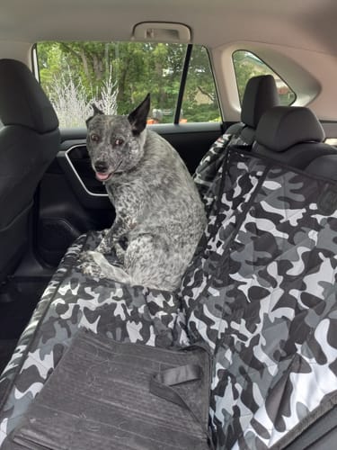 Customer photo review of Rear Seat Cover for Fold Down Seats - No Hammock - Regular
