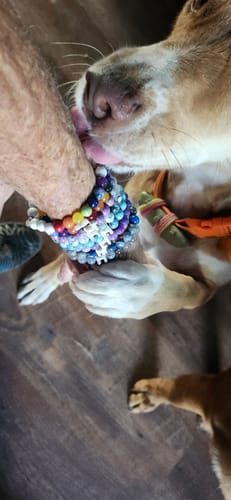 undefined review of STRĀ Dog Beaded Bracelet image 1 out of 1
