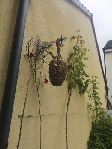 Customer photo review of The Bird Box - Course and Kit