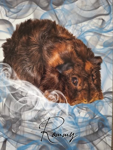 Customer photo review of Rauch Pawtrait
