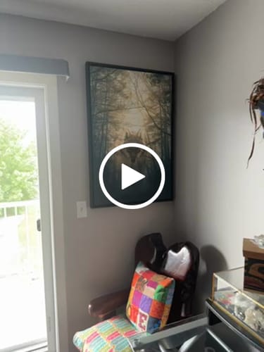 Customer video review of Wolf Walking - Alex Graphex