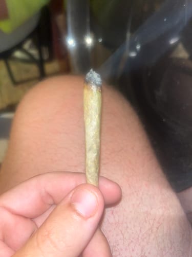 Customer photo review of Bulk THCA Smalls
