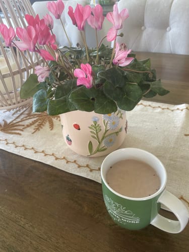 Customer photo review of Chocolate Bone Broth Powder