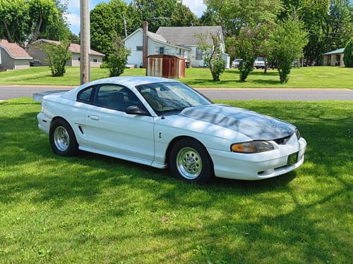 Ronald M. review of 1994-98 SN95 Mustang Strutless 15" Adjustable Wing 31-130 image 1 out of 3