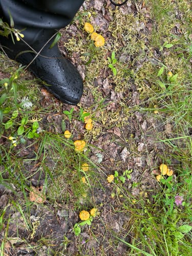 Customer photo review of Vaistoa Katve 2 -paljasjalkakumisaappaat