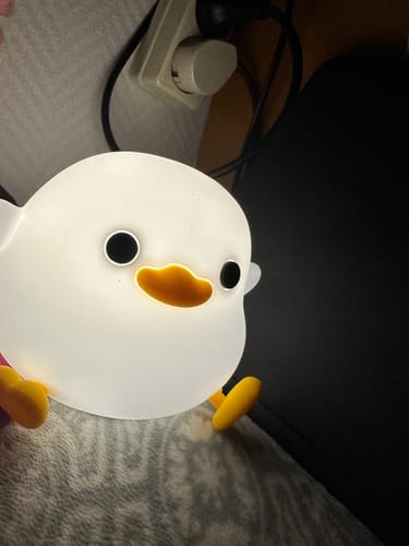 Customer photo review of Dodo the Bean Duck