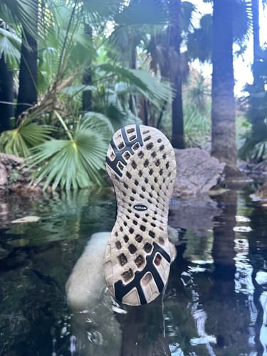 Customer photo review of Aleader Men's Xdrain Classic Knit 3.0 Water Shoes