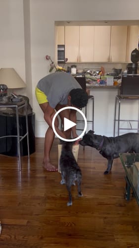 Customer video review of Pumpkin Chicken