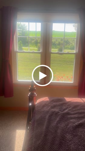 Customer video review of SmartWings Motorized Light Filtering Cellular Shades Nowa