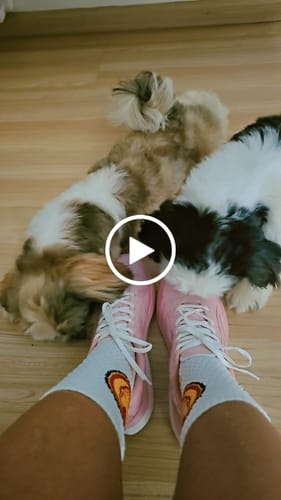 Customer video review of CELER Women