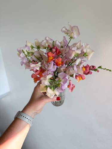 Customer photo review of High Scent Sweet Pea Seeds