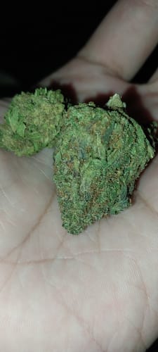 Customer photo review of Zookies THCA Flower