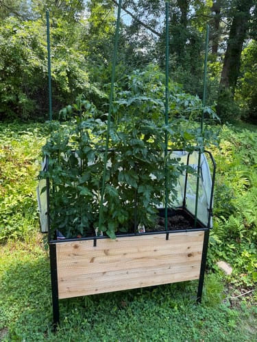 Customer photo review of 18" x 48" Raised Garden Bed - 30" TALL