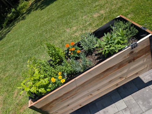Customer photo review of 18" x 48" Raised Garden Bed - 30" TALL