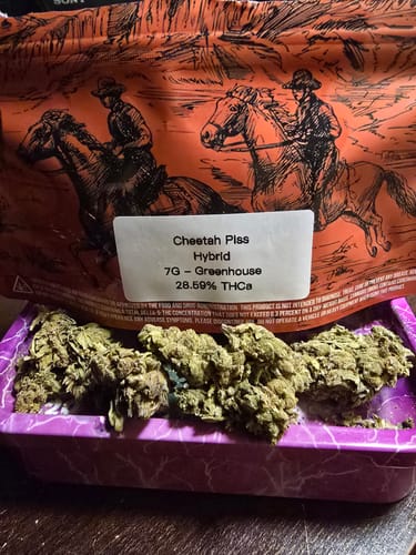 Customer photo review of Cheetah Piss