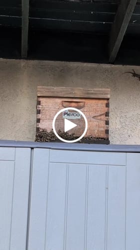 Customer video review of Honey B Gone Honeybee Repellant - 8 oz Bottle