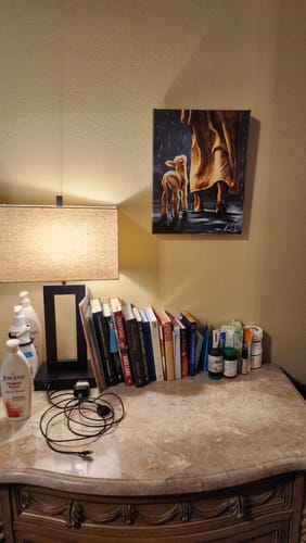 Customer photo review of My Sheep Listen to My Voice - The Voice that Calms the Storm