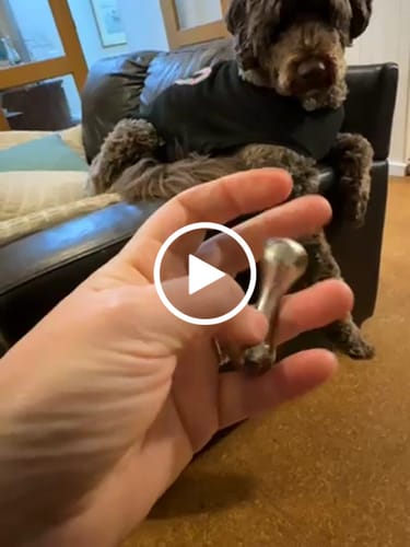 Customer video review of Titanium Fidget Bone by kaiko