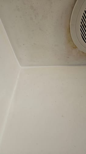 Customer photo review of SHYN Degreaser