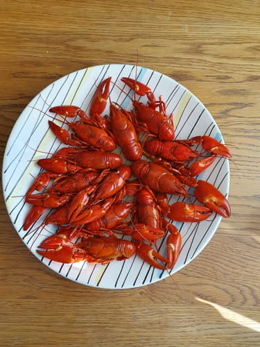 Customer photo review of Percys Kokta Kräftor 1 kg Färska vecka 32