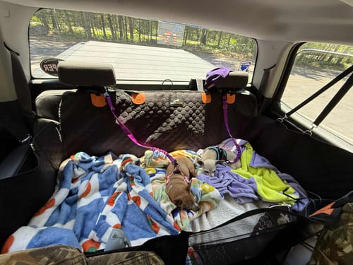 Customer photo review of RuffRover 2.0™ - Hard Bottom Back Seat Extender + (FREE Dog Bed)