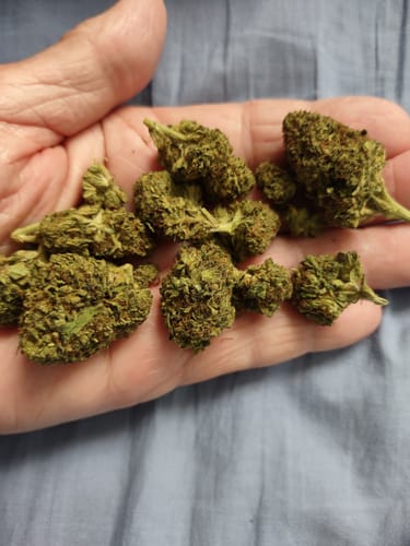 Customer photo review of Shipping Protection by Route