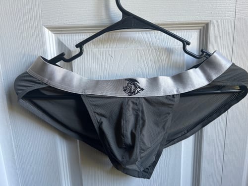 Customer photo review of Nylon 0in Mesh Bikini Briefs No Fly 4pk Black/Blue/Gray/Wineberry