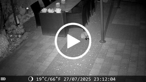 Customer video review of 48 megapixel wildcamera met perfect nachtzicht