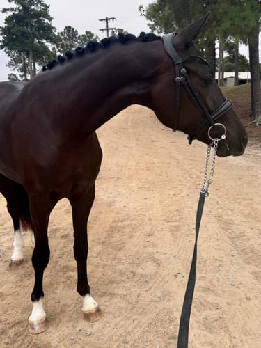 Customer photo review of Solo Simplicity - Flashless