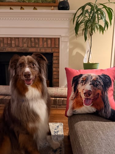 Customer photo review of Personalized Pet Portrait Pillow