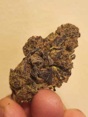 Customer photo review of Blockberry