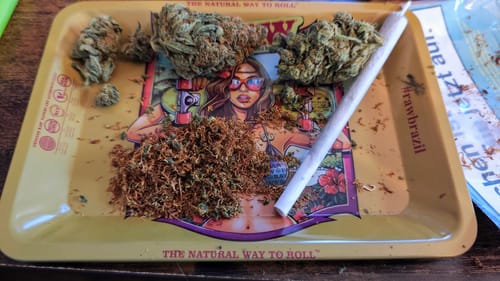 Patrick W. review of Montgomery Benz THC-A Blüten image 1 out of 1