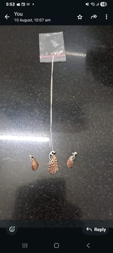 Customer photo review of Royal Peacock Set with Box Chain