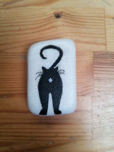 Customer photo review of Starterspakket Happy Stones + App om ze te volgen | Alles-in-1 | Stenen schilderen