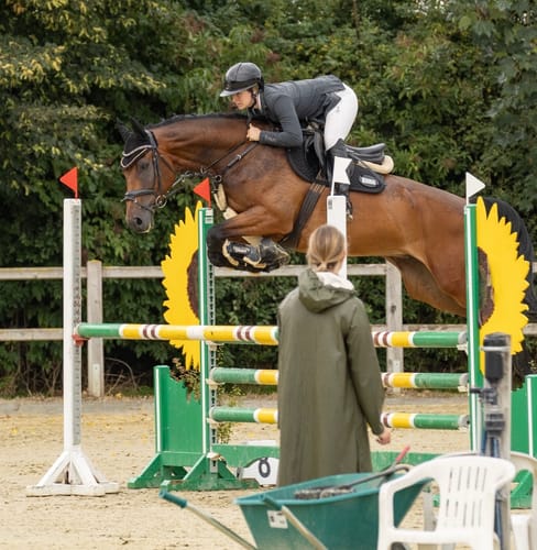 Customer photo review of Strotonin Horse Support