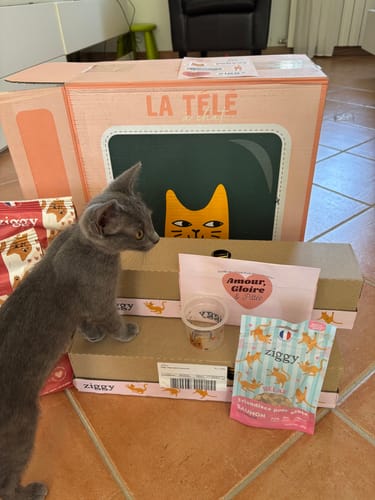 Avis photo d'un client sur Croquettes Chaton Sans Céréales - Poulet & Huile de Saumon