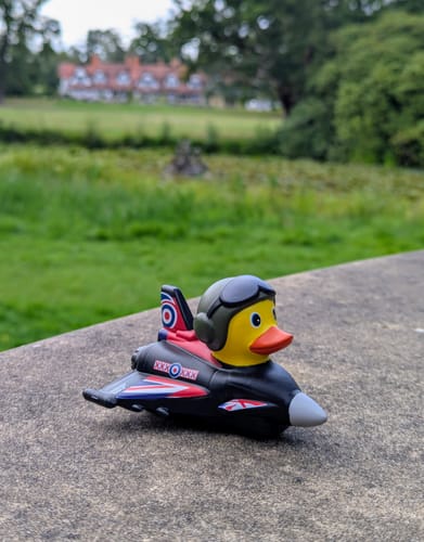 Customer photo review of RAF Association Typhoon Ducks (Pack of 3)