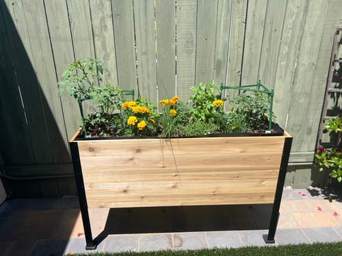 Customer photo review of 18" x 48" Raised Garden Bed - 30" TALL