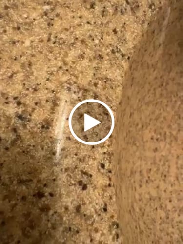Customer video review of Enchanted Tennis Bracelet in Gold