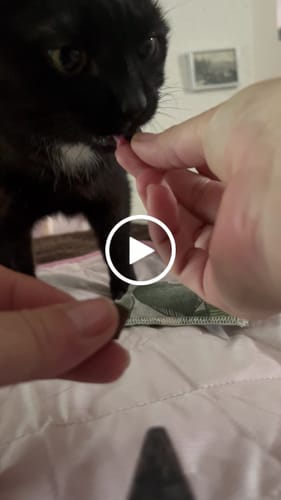 Customer video review of Patsli Immune